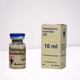 Testosterone enanthate 250 mg Moldavian Pharma